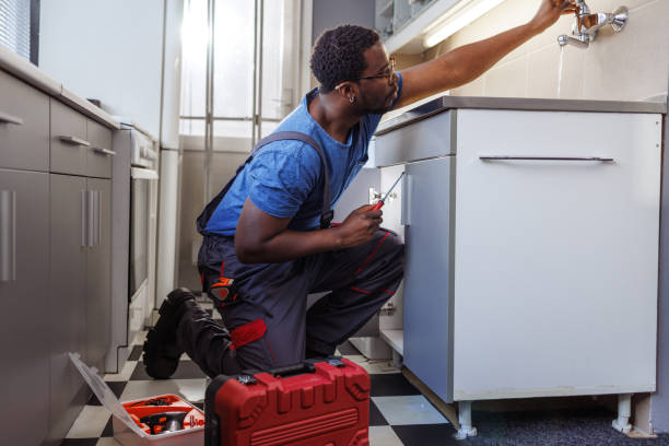Best Plumbing Repair Near Me  in Johnstonville, CA